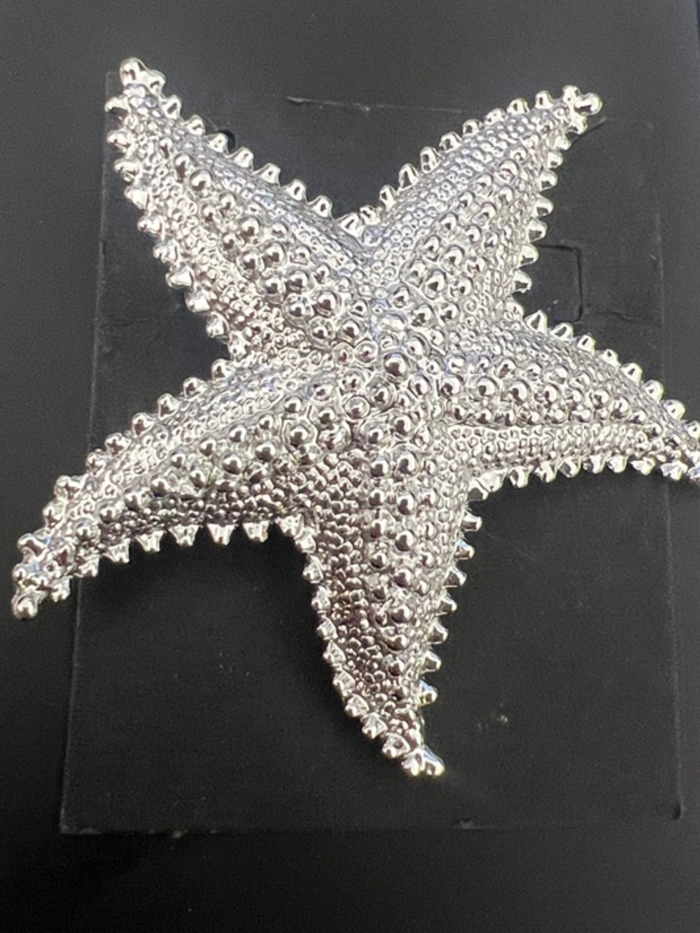 Silver Starfish Pin